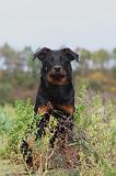 BEAUCERON 332